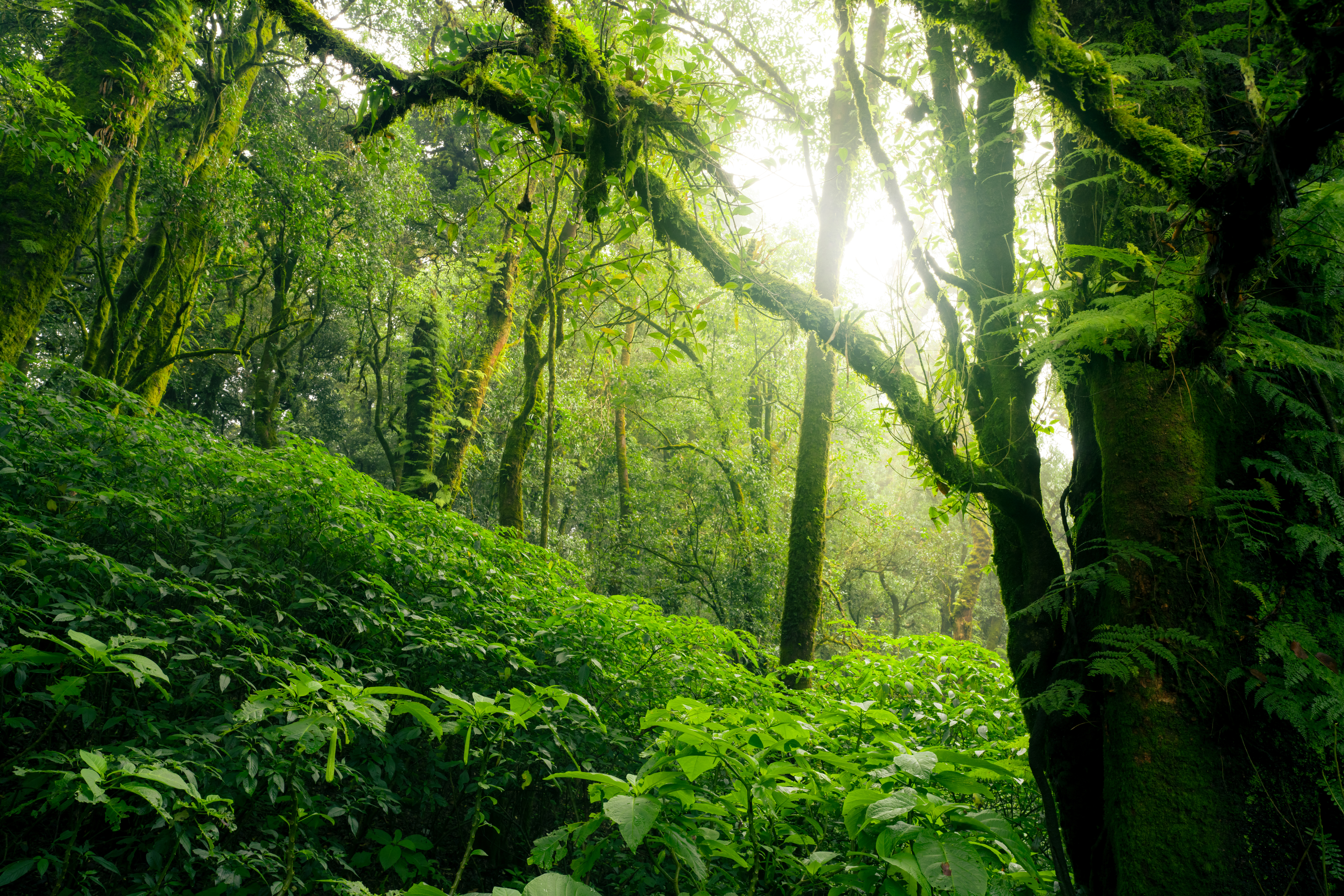 Featured image for: Green Talent will host a Demonstration Hubs Webinar